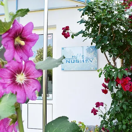 Nushev 酒店 圣弗拉斯