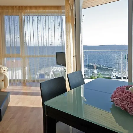 Nushev סבטי ולאס