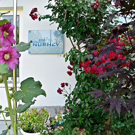 Nushev מלון