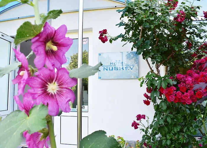 Nushev Hotell Sveti Vlas