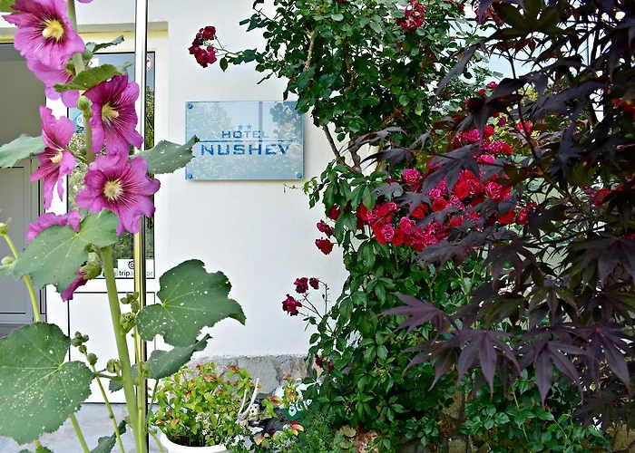 Nushev Hotell