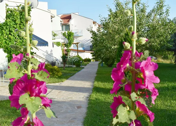 Hotell Nushev 2*
